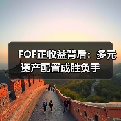FOF正收益背后：多元资产配置成胜负手（图4）