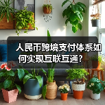 人民币跨境支付体系如何实现互联互通?(图2) 人民币跨境支付体系如何实现互联互通?(图2)