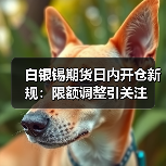 白银锡期货日内开仓新规:限额调整引关注(图4) 白银锡期货日内开仓新规:限额调整引关注(图4)
