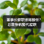 董事长辞职谁将接任?总裁张帆暂代履职(图2) 董事长辞职谁将接任?总裁张帆暂代履职(图2)