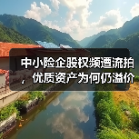 中小险企股权频遭流拍,优质资产为何仍溢价成交?(图1) 中小险企股权频遭流拍,优质资产为何仍溢价成交?(图1)