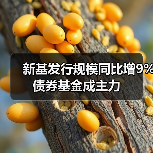 新基发行规模同比增9% 债券基金成主力（图2）