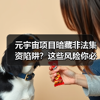 元宇宙项目暗藏非法集资陷阱？这些风险你必须知道（图3）
