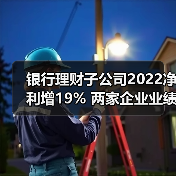 银行理财子公司2022净利增19% 两家企业业绩下滑（图2）