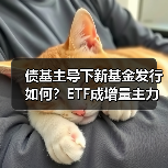 债基主导下新基金发行如何？ETF成增量主力（图4）
