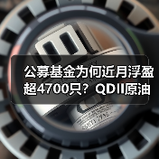 公募基金为何近月浮盈超4700只？QDII原油黄金主题强势领涨（图2）