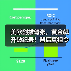 美欧剑拔弩张,黄金飙升破纪录!背后真相令人震惊(图2) 美欧剑拔弩张,黄金飙升破纪录!背后真相令人震惊(图2)