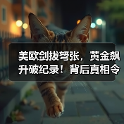美欧剑拔弩张,黄金飙升破纪录!背后真相令人震惊(图3) 美欧剑拔弩张,黄金飙升破纪录!背后真相令人震惊(图3)