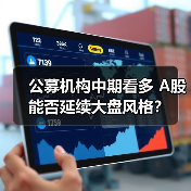 公募机构中期看多 A股能否延续大盘风格？（图1）
