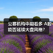 公募机构中期看多 A股能否延续大盘风格？（图2）