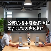 公募机构中期看多 A股能否延续大盘风格？（图3）