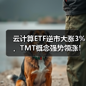 云计算ETF逆市大涨3%，TMT概念强势领涨！（图2）