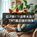 云计算ETF逆市大涨3%，TMT概念强势