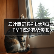 云计算ETF逆市大涨3%，TMT概念强势领涨！（图4）
