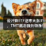 云计算ETF逆市大涨3%，TMT概念强势领涨！（图3）