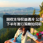 固收主导权益遇冷 公募下半年发行策略如何调整？（图2）
