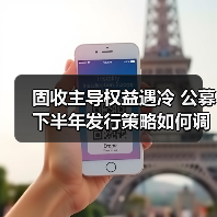 固收主导权益遇冷 公募下半年发行策略如何调整？（图3）
