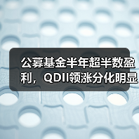 公募基金半年超半数盈利，QDII领涨分化明显（图3）