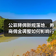 公募降佣新规落地，券商佣金调整如何影响行业？（图1）