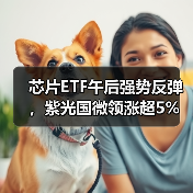 芯片ETF午后强势反弹，紫光国微领涨超5%（图2）