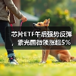 芯片ETF午后强势反弹，紫光国微领涨超5