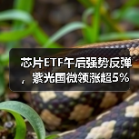 芯片ETF午后强势反弹，紫光国微领涨超5%（图3）