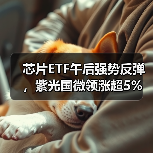芯片ETF午后强势反弹，紫光国微领涨超5%（图4）