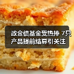 政金债基金受热捧 7只产品提前结募引关注（图3）