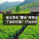 基金费率