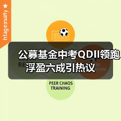 公募基金中考QDII领跑 浮盈六成引热议（图4）