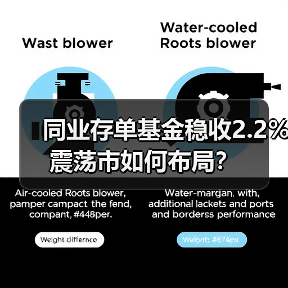 同业存单基金稳收2.2% 震荡市如何布局？（图2）