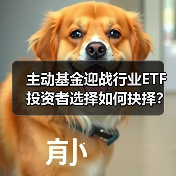 主动基金迎战行业ETF 投资者选择如何抉择？（图2）