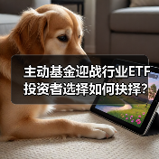 主动基金迎战行业ETF 投资者选择如何抉择？（图4）