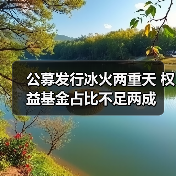 公募发行冰火两重天 权益基金占比不足两成（图4）