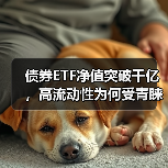 债券ETF净值突破千亿，高流动性为何受青睐？（图3）