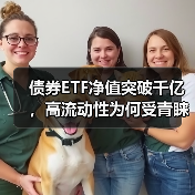 债券ETF净值突破千亿，高流动性为何受青睐？（图4）