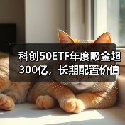 科创50ETF年度吸金超300亿，长期配