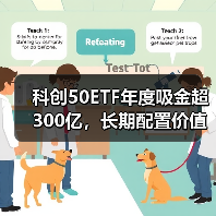 科创50ETF年度吸金超300亿，长期配置价值几何？（图3）