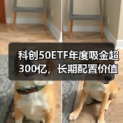 科创50ETF年度吸金超300亿，长期配置价值几何？（图4）