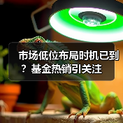市场低位布局时机已到？基金热销引关注（图2）