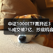 中证1000ETF高开近3%成交破7亿，抄底机会来了？（图3）
