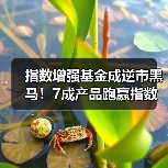 指数增强基金成逆市黑马！7成产品跑赢指数（图4）