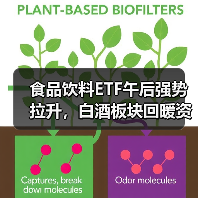 食品饮料ETF午后强势拉升，白酒板块回暖资金回流（图2）