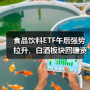 食品饮料ETF午后强势拉升，白酒板块回暖资金回流（图3）