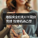 港股央企红利ETF同台竞技 投资机遇凸显（图3）