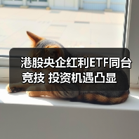 港股央企红利ETF同台竞技 投资机遇凸显（图4）