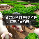 食品饮料ETF强势拉升，投资机会凸显？