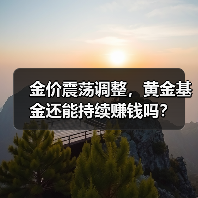 金价震荡调整，黄金基金还能持续赚钱吗？（图4）