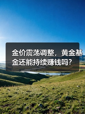 金价震荡调整，黄金基金还能持续赚钱吗？（图3）