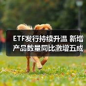 ETF发行持续升温 新增产品数量同比激增